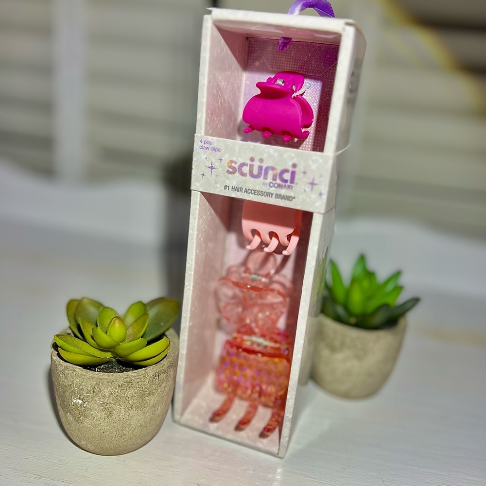 MINI CLAW CLIP SET